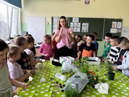 48748058711252638060682333260199137019009794n